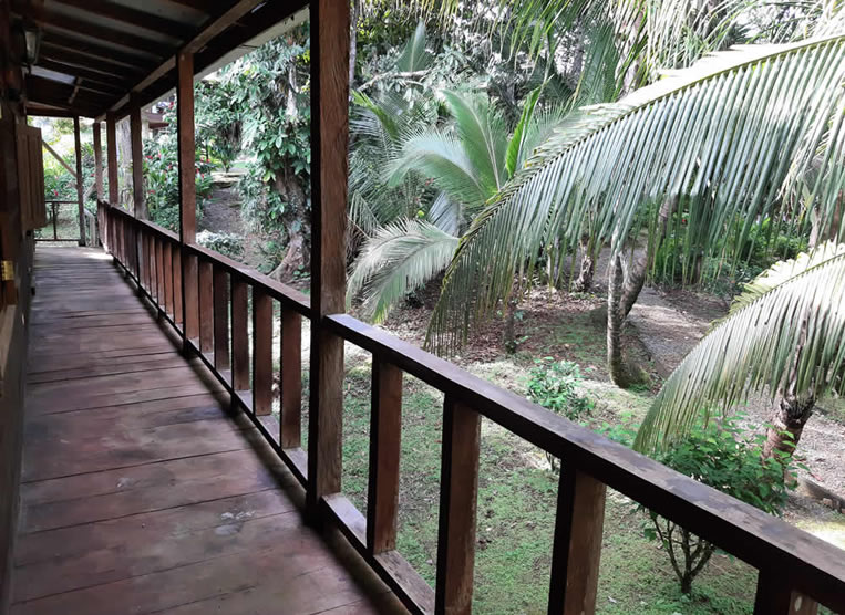 Back Porch
